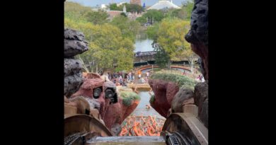 splash mountain