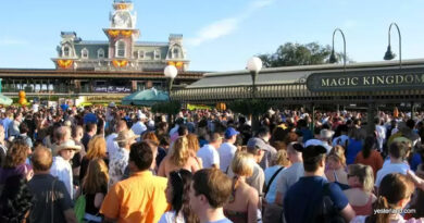 disney world crowds