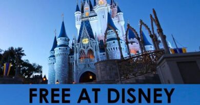 Disney FreeCycle