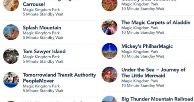 Disney world wait times